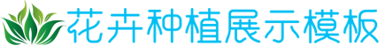 德信品牌官网,德信vip